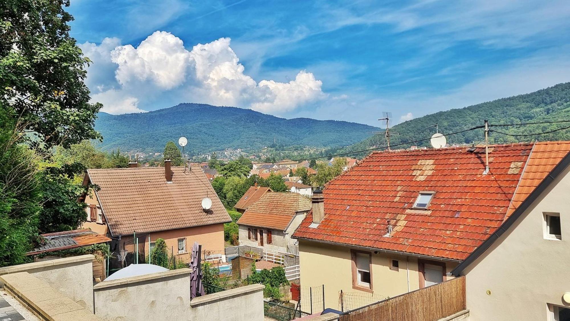 La Buhl Verte - Chic Et Moderne - Calme - Fibre - Relax Bnb Экстерьер фото